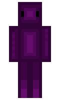 GymRegular minecraft skin