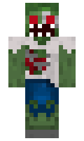 Coopaloop29 minecraft skin
