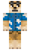 aliseror minecraft skin
