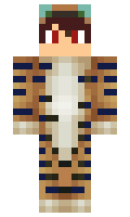 UND minecraft skin