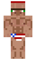 216935cacd5f3a minecraft skin