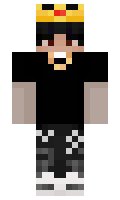 Ritesh790 minecraft skin