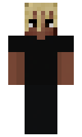 gayastronauts minecraft skin