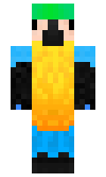 NoSwordIncluded minecraft skin