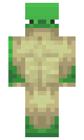 21c5229adb0ee8 minecraft skin