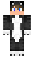 21d8d3fa343528 minecraft skin