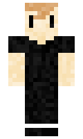 TaggTagg minecraft skin