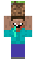 Lipe minecraft skin