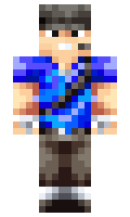 bwinb minecraft skin