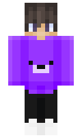 2237eea89eb17a minecraft skin