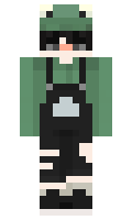 2258afaa3ecdb4 minecraft skin