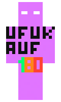 2262074e8a20b2 minecraft skin