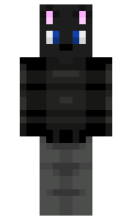 2269902023b745 minecraft skin