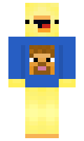 22742b352004f6 minecraft skin