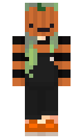 EverGreenWIFI minecraft skin