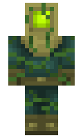 WookieChaos minecraft skin