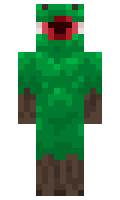 Salapi minecraft skin