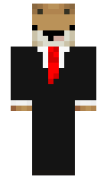dip minecraft skin