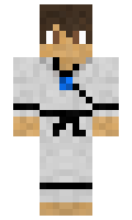 22f564bd49317e minecraft skin