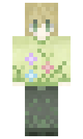 22fc253d5d62a1 minecraft skin