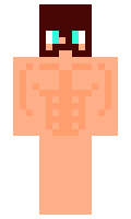 22fcfdce607967 minecraft skin