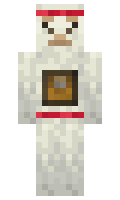 vschiller minecraft skin