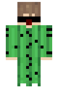 2311529b1d9fa5 minecraft skin