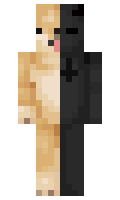 231a2eba1bbef1 minecraft skin