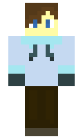 2339a2592ee779 minecraft skin