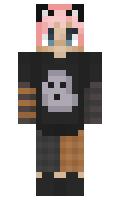 acho minecraft skin