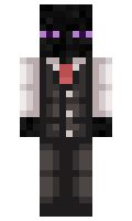 234898e295f9e8 minecraft skin