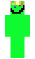 timmydru minecraft skin