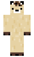 Pinguigel minecraft skin