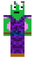 svet minecraft skin