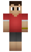 Sundar minecraft skin