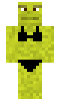 237f298f9d0e8b minecraft skin