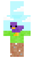 PurpleChickn minecraft skin