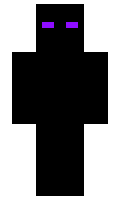 NTSX minecraft skin