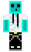 dakimc minecraft skin