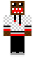 OLADUSHEK minecraft skin