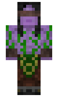 cooldudelord minecraft skin