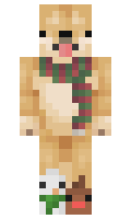 24259cacc43ae1 minecraft skin