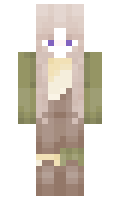 2427c2c5c8fa2c minecraft skin
