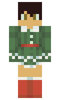 2434598e357e11 minecraft skin