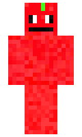 2438b707c4412a minecraft skin