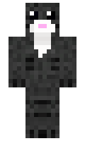 243aa4dcf01756 minecraft skin