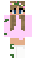 245d511bc05f26 minecraft skin