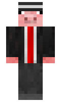 2462816211834f minecraft skin