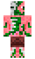 Eragon minecraft skin
