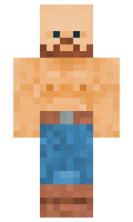 2463fc221c3fc2 minecraft skin